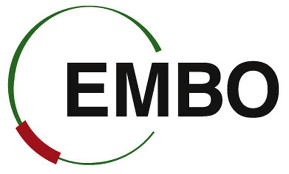 Un nuevo estudio se aproxima a obtener una vacuna frente a los virus respiratorios más graves y frecuentes en niños de corta edad