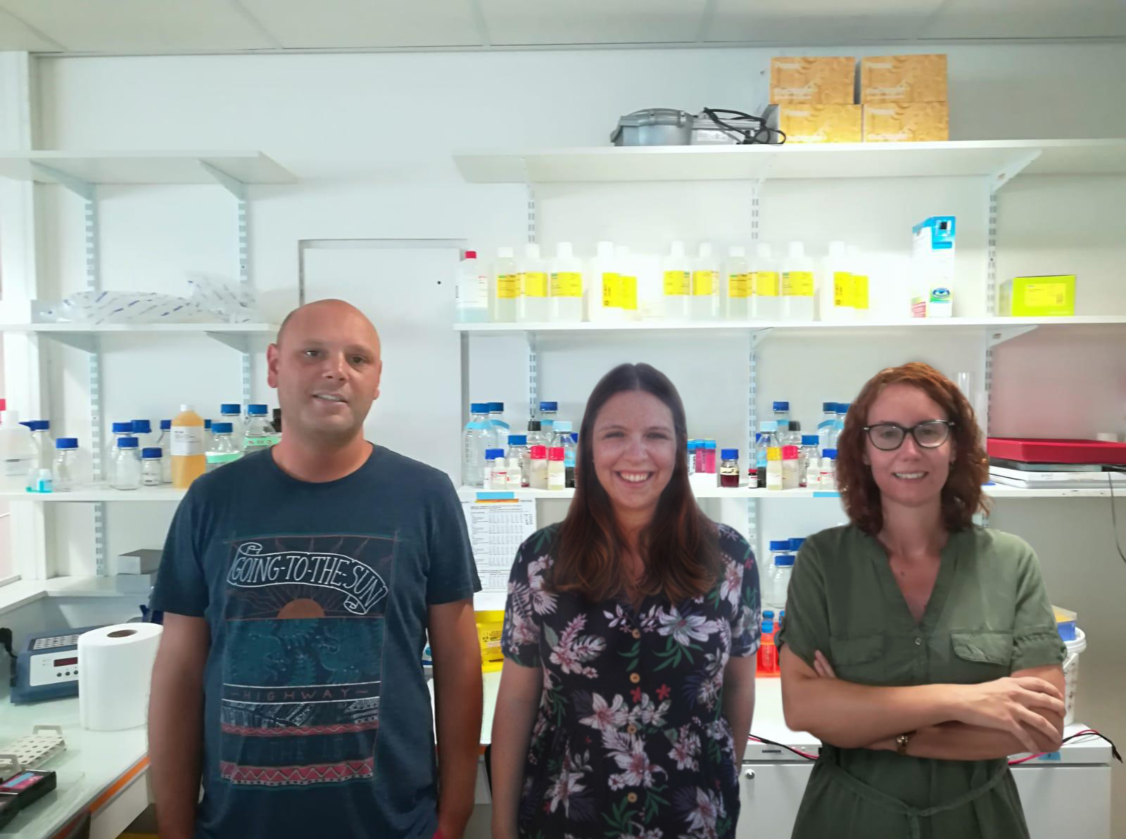 Se describe por primera vez que la proteína supresora de tumores p53 tiene un papel protector contra la obesidad