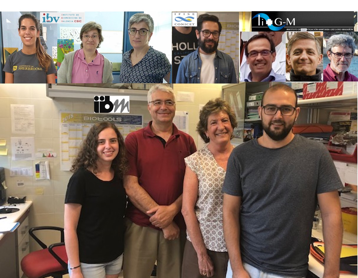 Las prostaglandinas pueden tener un papel protector en pacientes que reciben un trasplante hepático