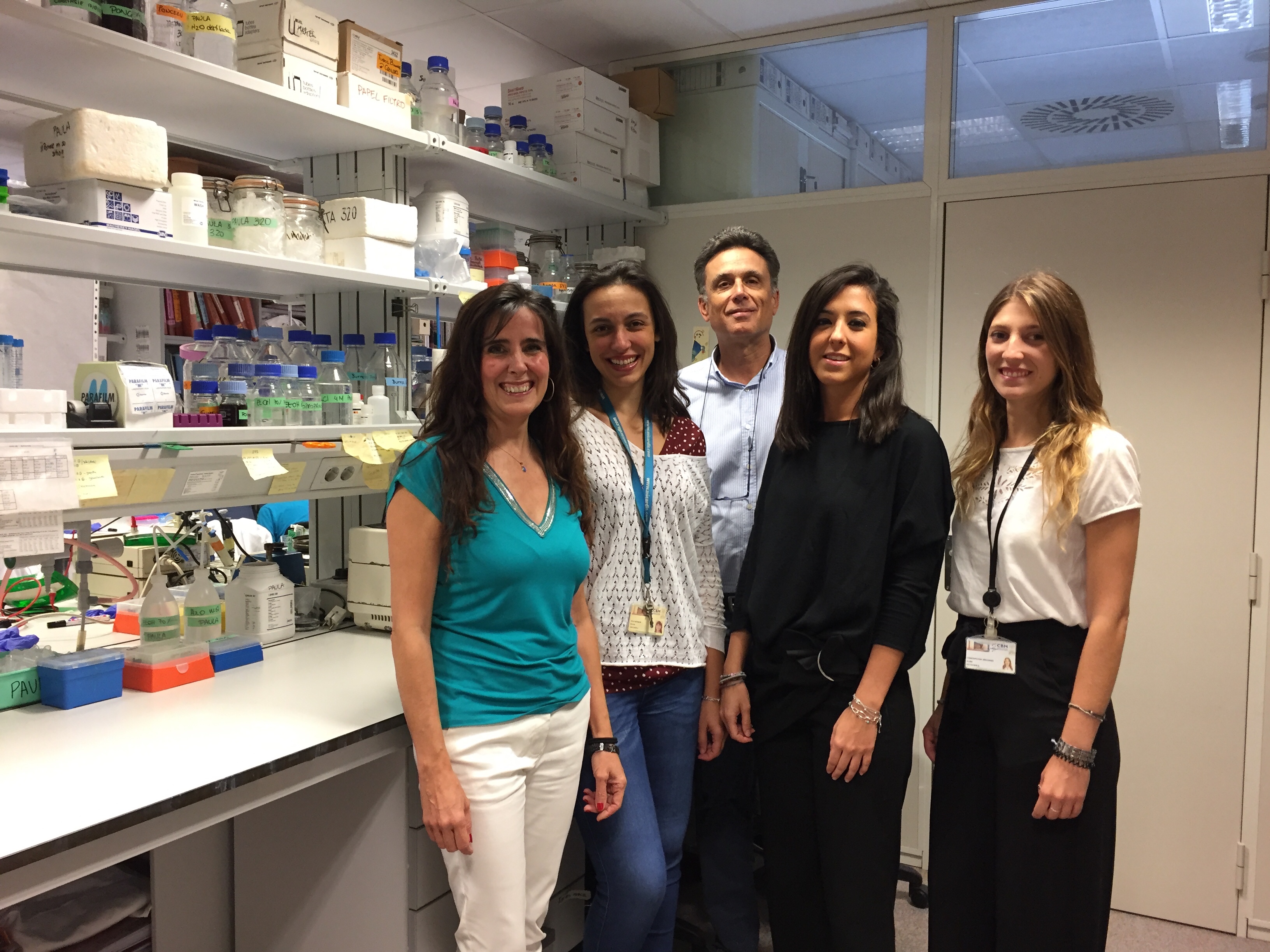 Descubierto un nuevo mecanismo para atenuar los efectos de la enfermedad de hígado graso