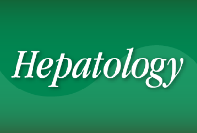 Investigadores del CIBEREHD identifican nuevos biomarcadores metabolómicos para mejorar el diagnóstico del cáncer hepático