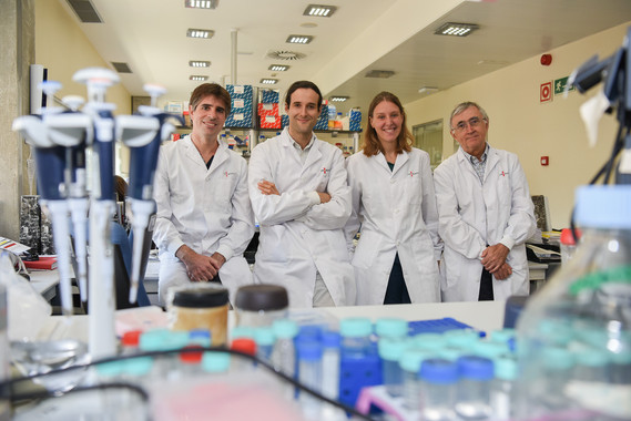 Descifran las claves de la predisposición genética a la leucemia