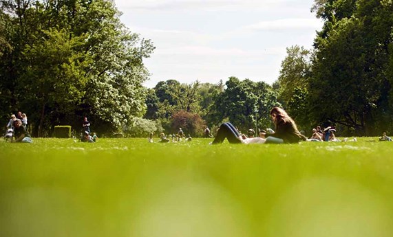 Las personas que viven cerca de espacios verdes tienen menos riesgo de síndrome metabólico