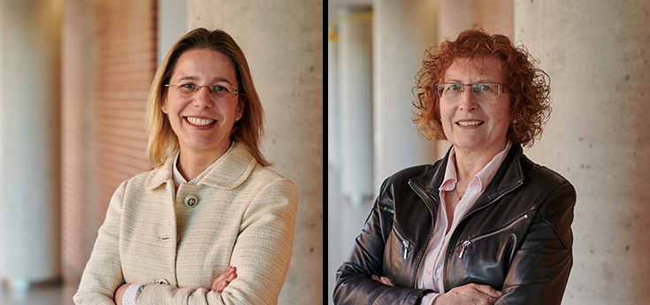 Una dieta rica en grasas y en fructosa altera el metabolismo lipídico del hígado