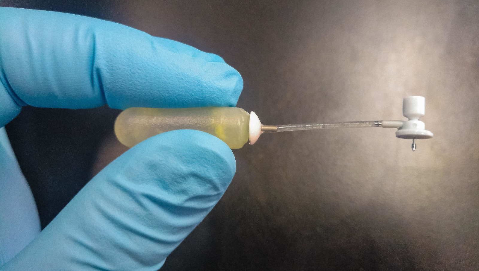 Proponen una nueva estrategia terapéutica para el síndrome de Allan-Herndon-Dudley