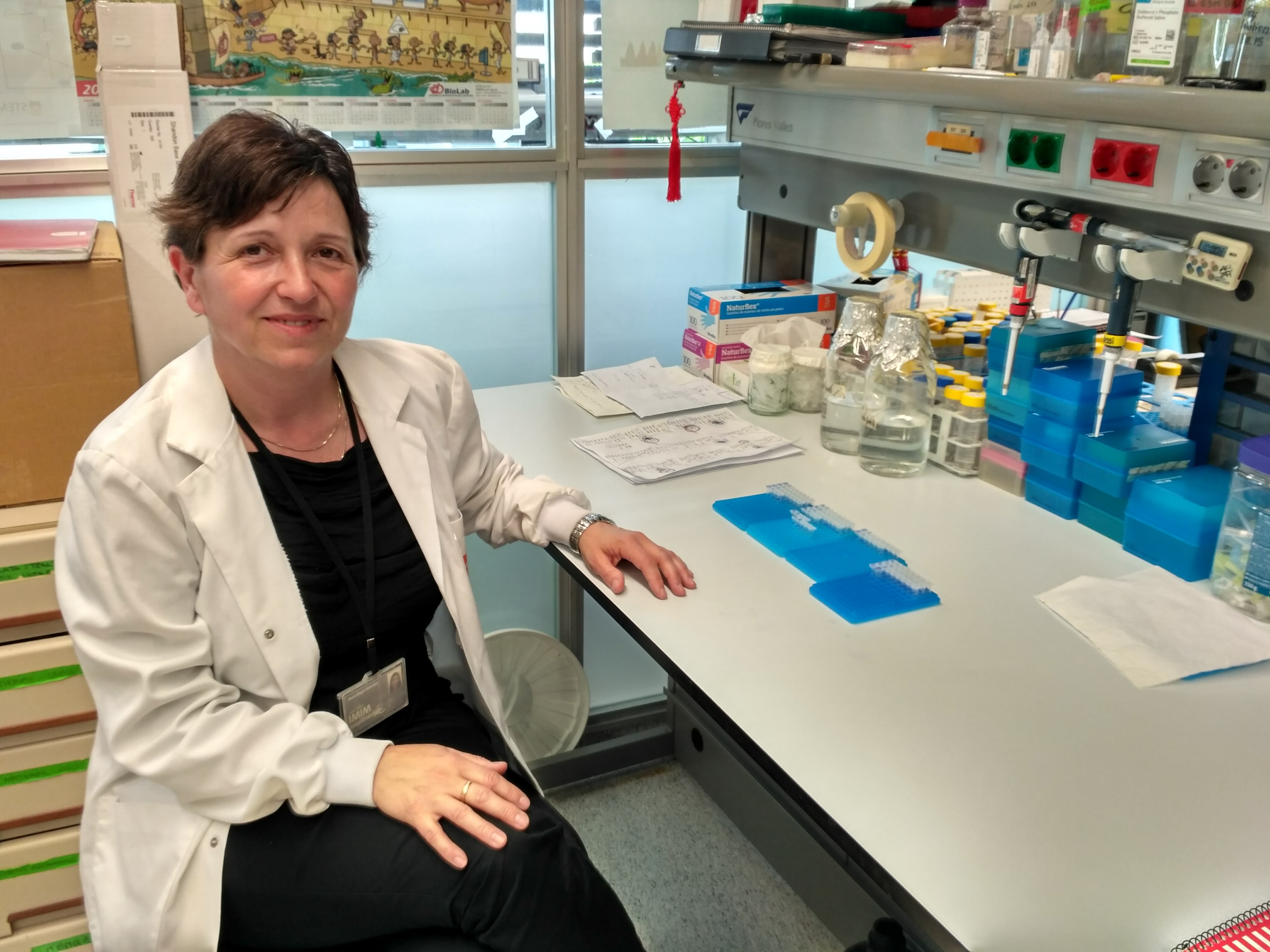 Anna Bigas, nueva directora científica del CIBER de Cáncer