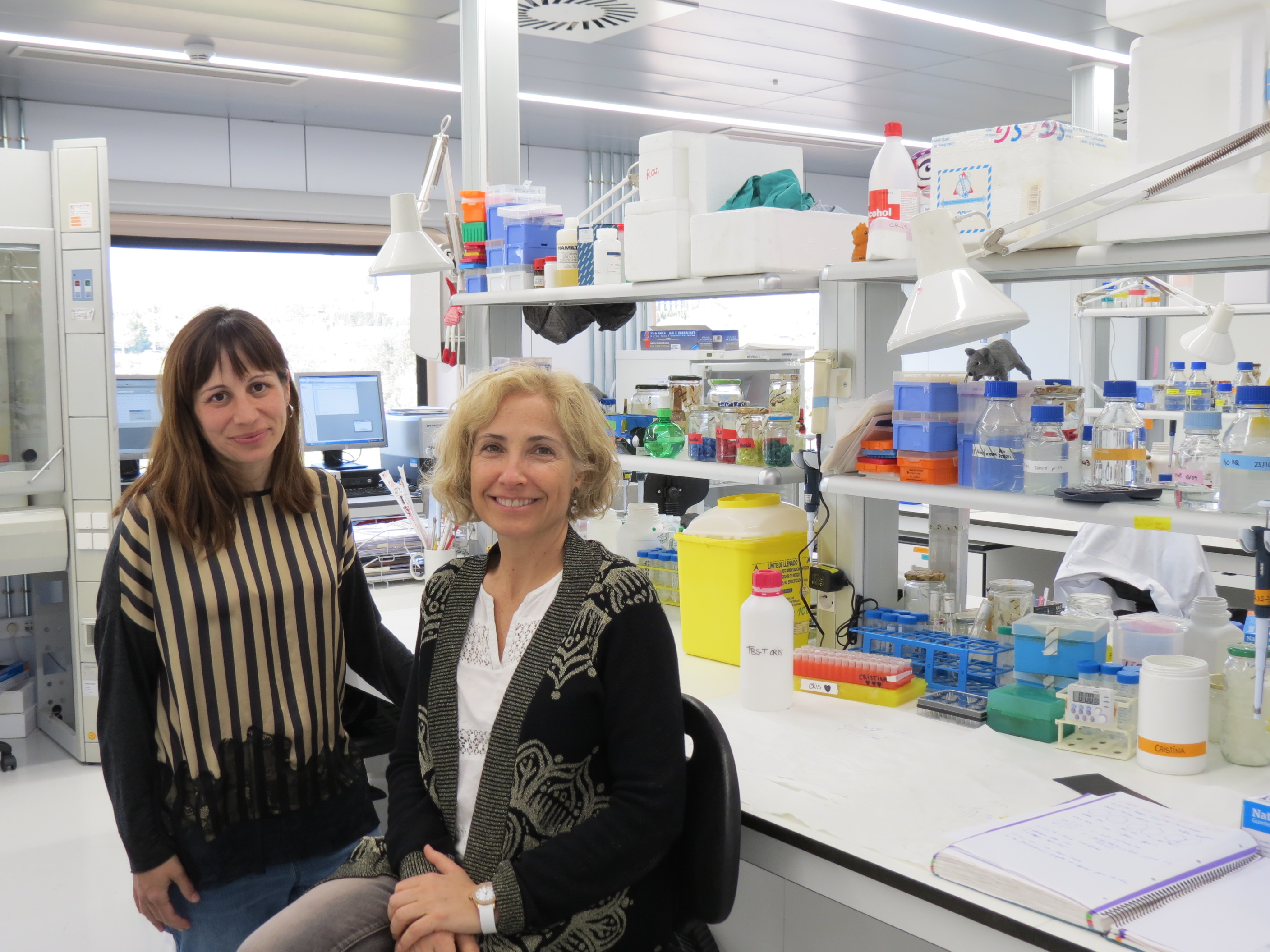 Los nutrientes que alimentan las neuronas