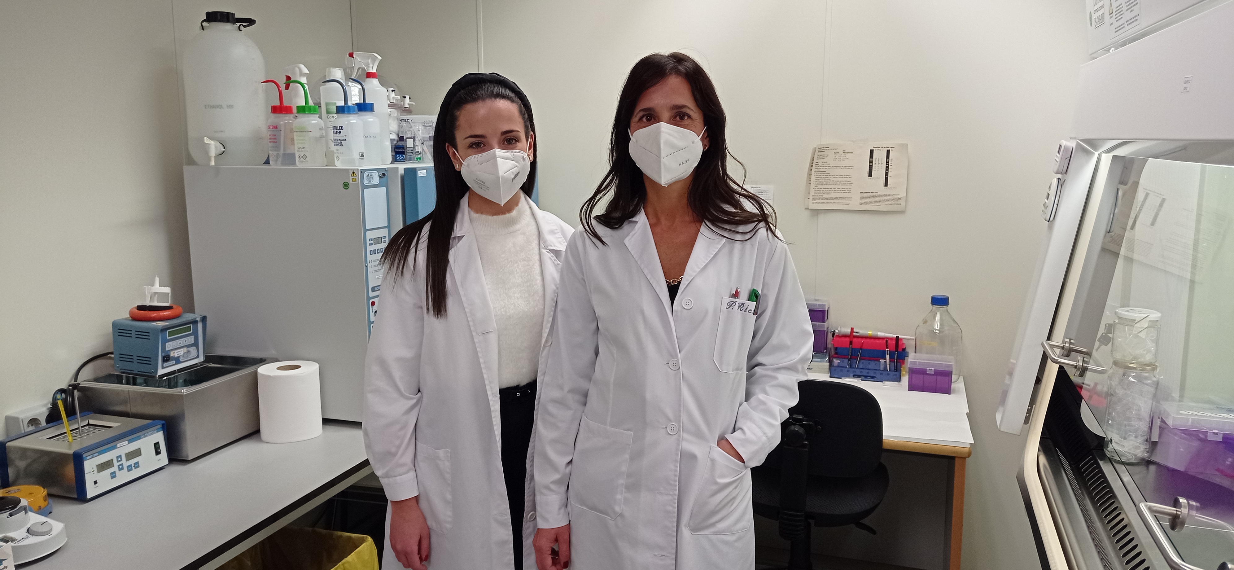 Describen un nuevo mecanismo de interacción de las células con su entorno clave para nuevas aplicaciones biomédicas