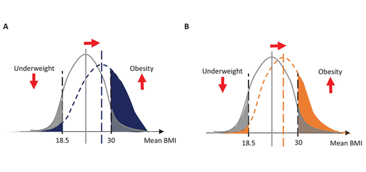 Estudian cómo afectan las variaciones en la distribución del IMC en los cambios en la prevalencia de obesidad y peso bajo en el mundo