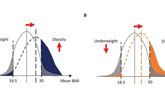 Estudian cómo afectan las variaciones en la distribución del IMC en los cambios en la prevalencia de obesidad y peso bajo en el mundo