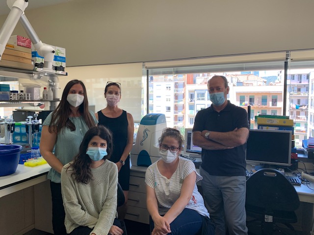 Descubren un nuevo mecanismo de regulación de la proteína STARD1 en la enfermedad de Niemann-Pick tipo C