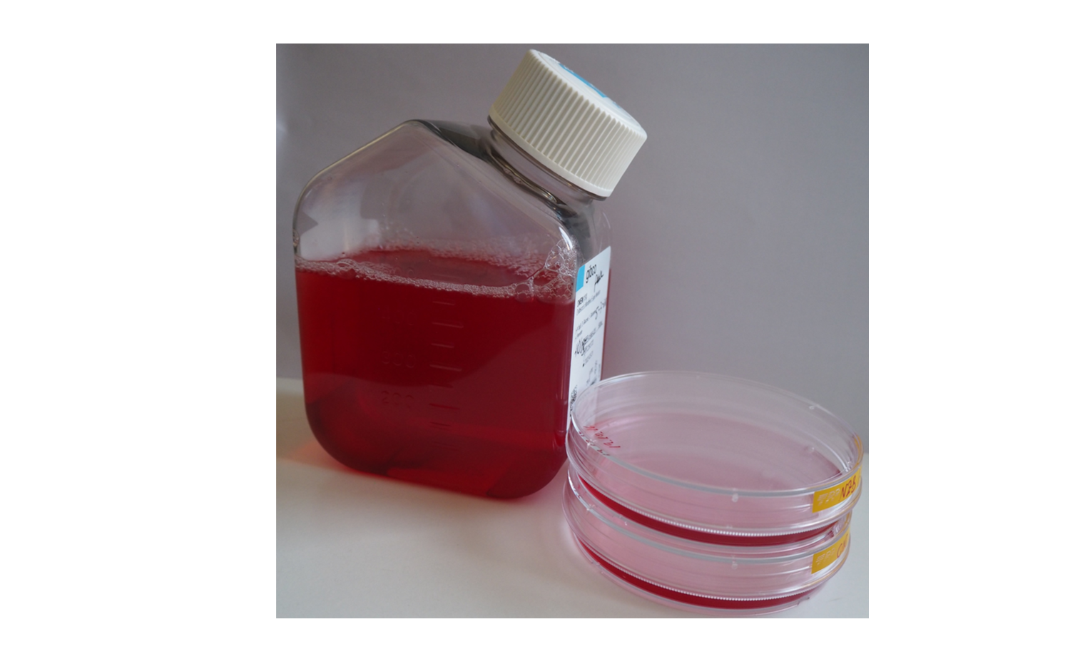 El análisis de los medios de cultivo ayuda a interpretar mejor los resultados de modelos celulares de enfermedades mitocondriales