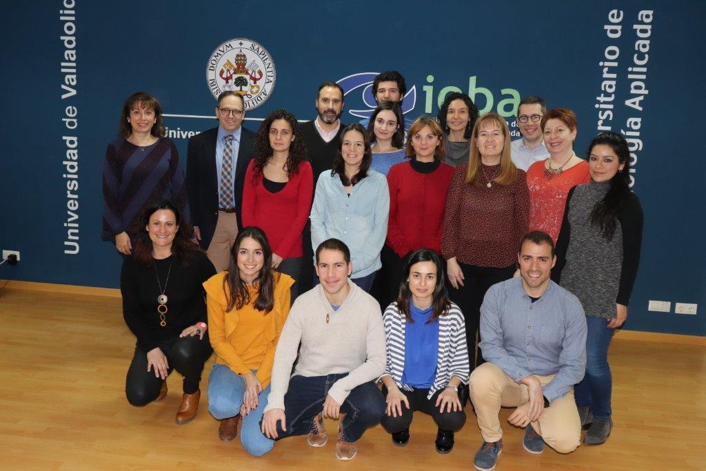 Día mundial de la visión: retos y desafíos de la terapia con células madre para la ceguera corneal por deficiencia limbal