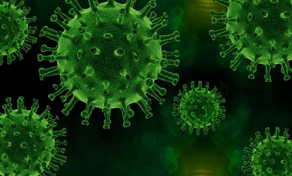Obtención de nuevos inhibidores del virus de la hepatitis C mediante evolución in vitro