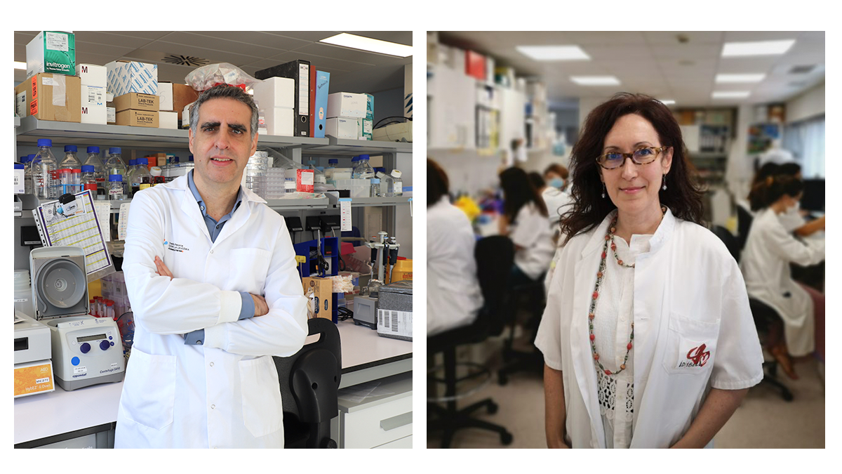 Descubiertos factores epigenéticos asociados a un síndrome grave en COVID-19 infantil