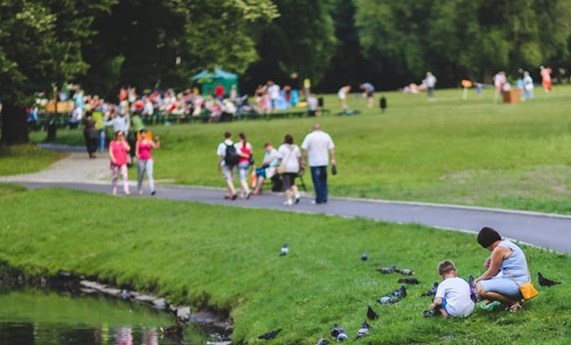 La exposición a espacios verdes protege la salud cardiovascular de las personas mayores La exposición a espacios verdes protege la salud cardiovascular de las personas mayores