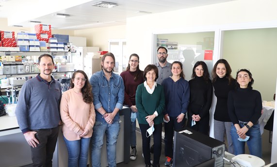 Las dietas ricas en grasa modifican la expresión diferencial de genes entre sexos en tejidos metabólicos Las dietas ricas en grasa modifican la expresión diferencial de genes entre sexos en tejidos metabólicos