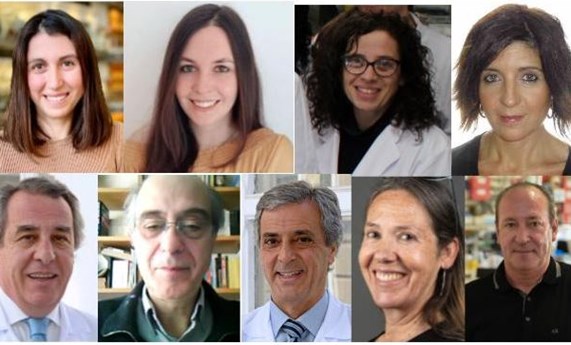 El metabolismo del colesterol ayuda a predecir la viabilidad de los injertos en trasplante hepático El metabolismo del colesterol ayuda a predecir la viabilidad de los injertos en trasplante hepático