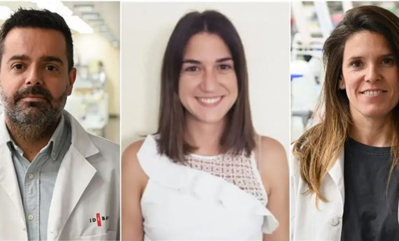 Detallan el papel de ciertos microARNs en el desarrollo de la cirrosis hepática Detallan el papel de ciertos microARNs en el desarrollo de la cirrosis hepática