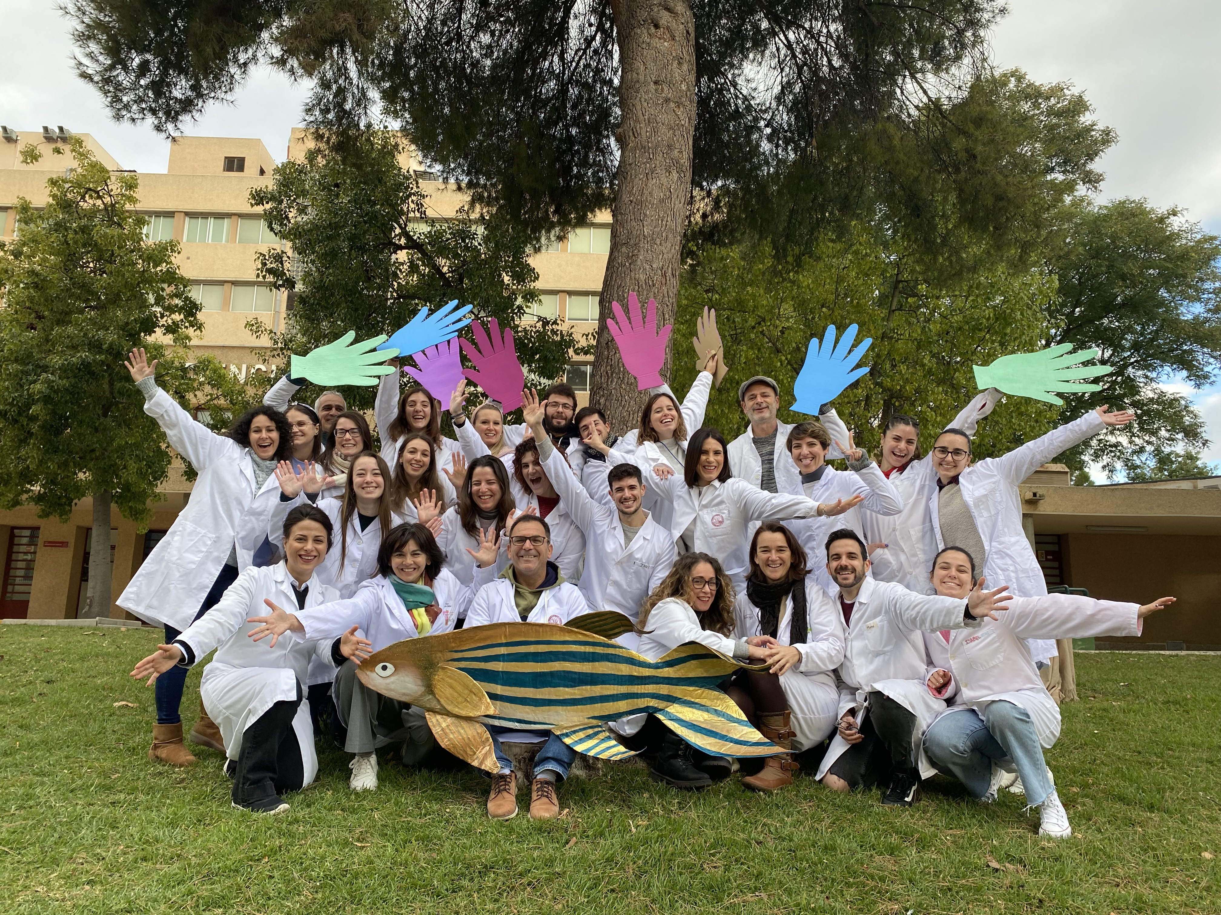 Dasatinib, designado medicamento huérfano por la EMA para la anemia de Diamond-Blackfan (DBA)