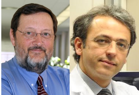 Dos miembros del CIBEREHD entre los investigadores más citados del mundo