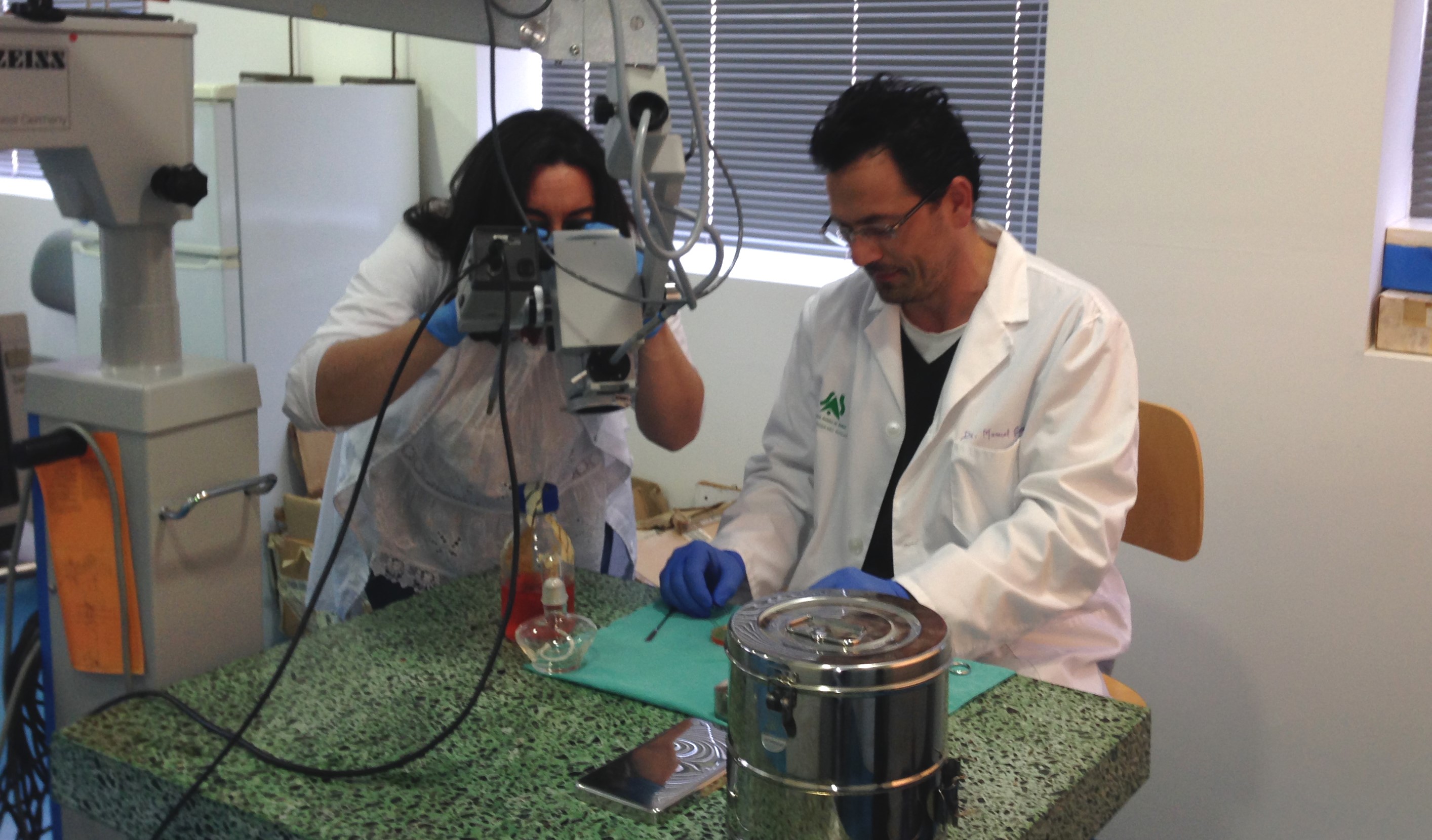 Demuestran que SAMe empeora la neurogénesis y contribuye al deterioro cognitivo