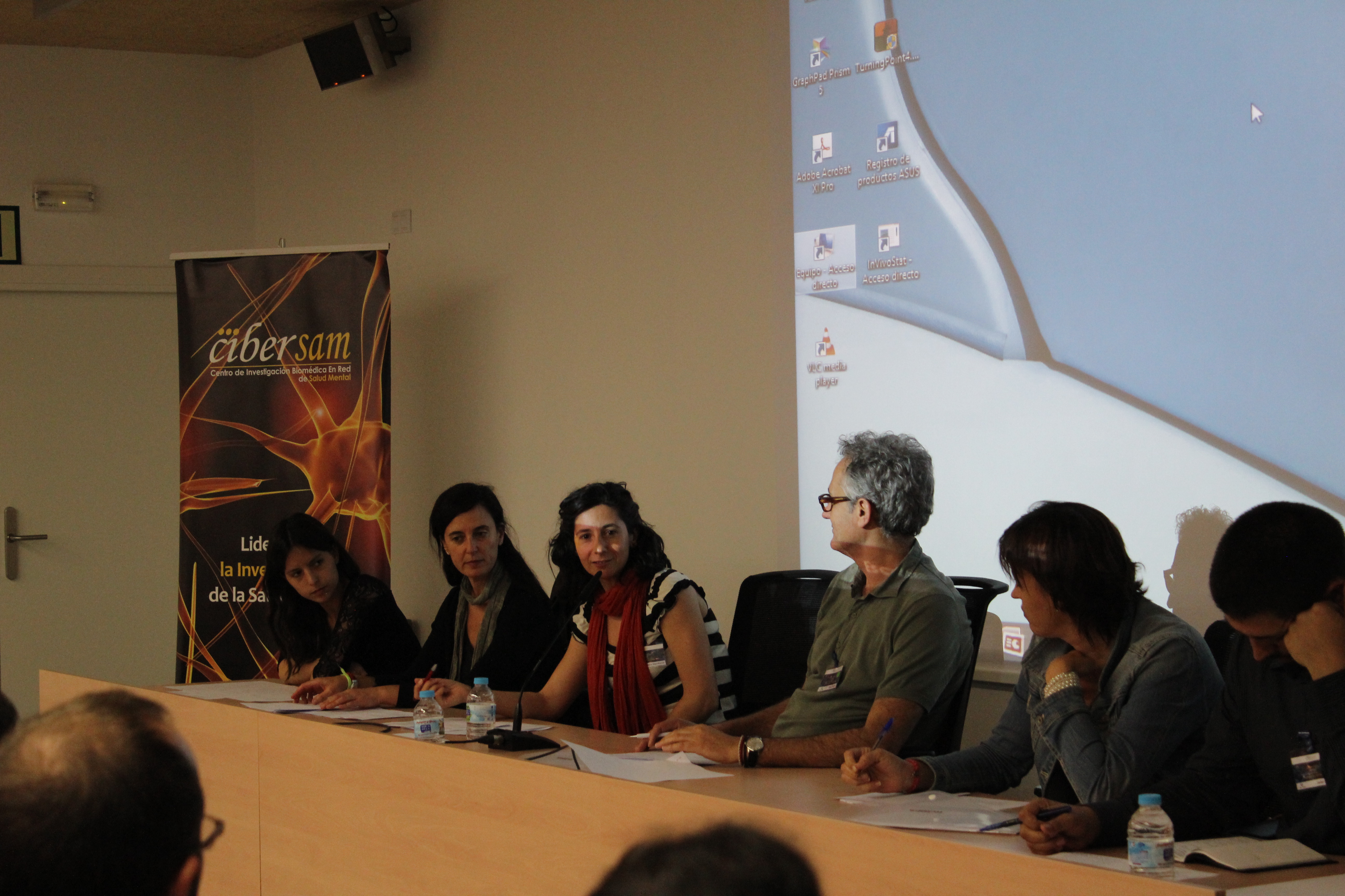 Celebrado con éxito el IV Laboratorio de Ideas del CIBERSAM